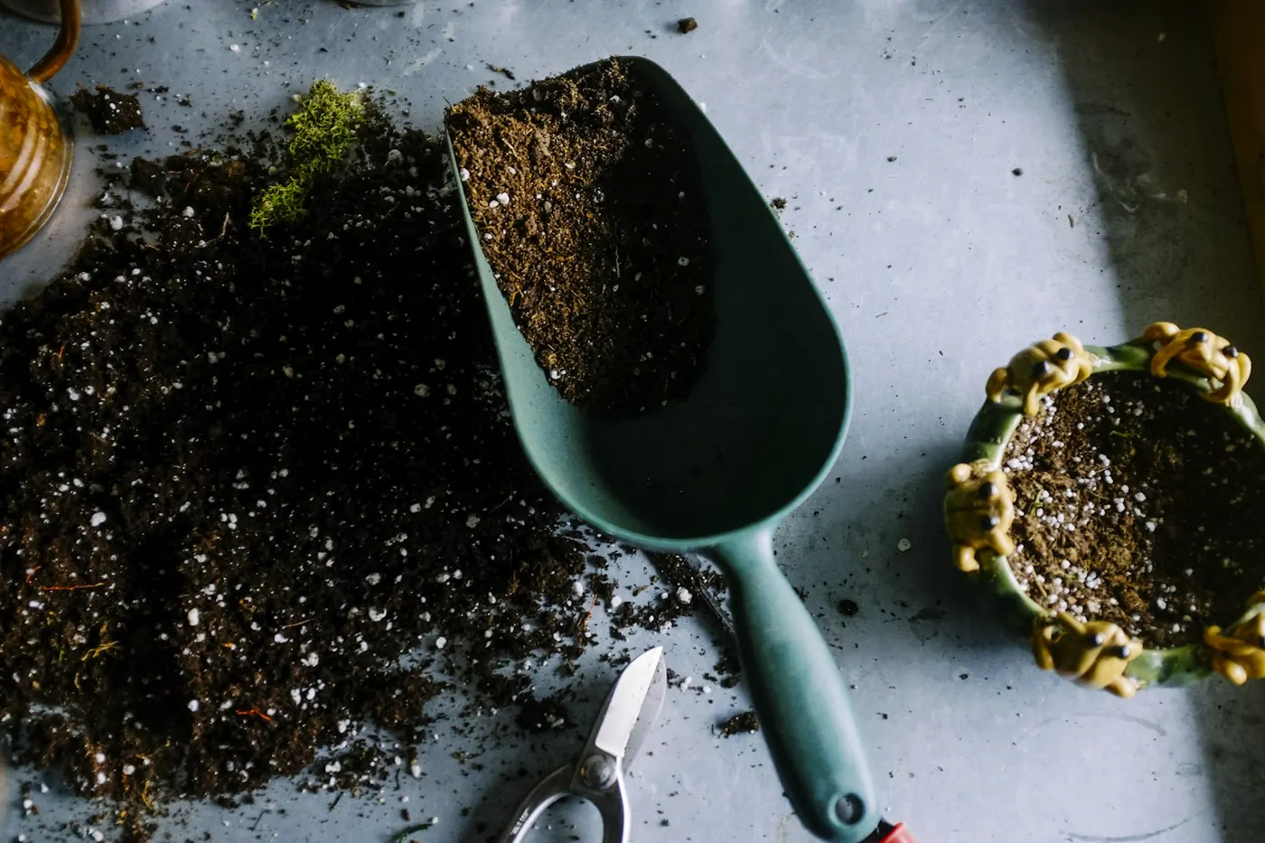 Tuinpad en groen rond een woning